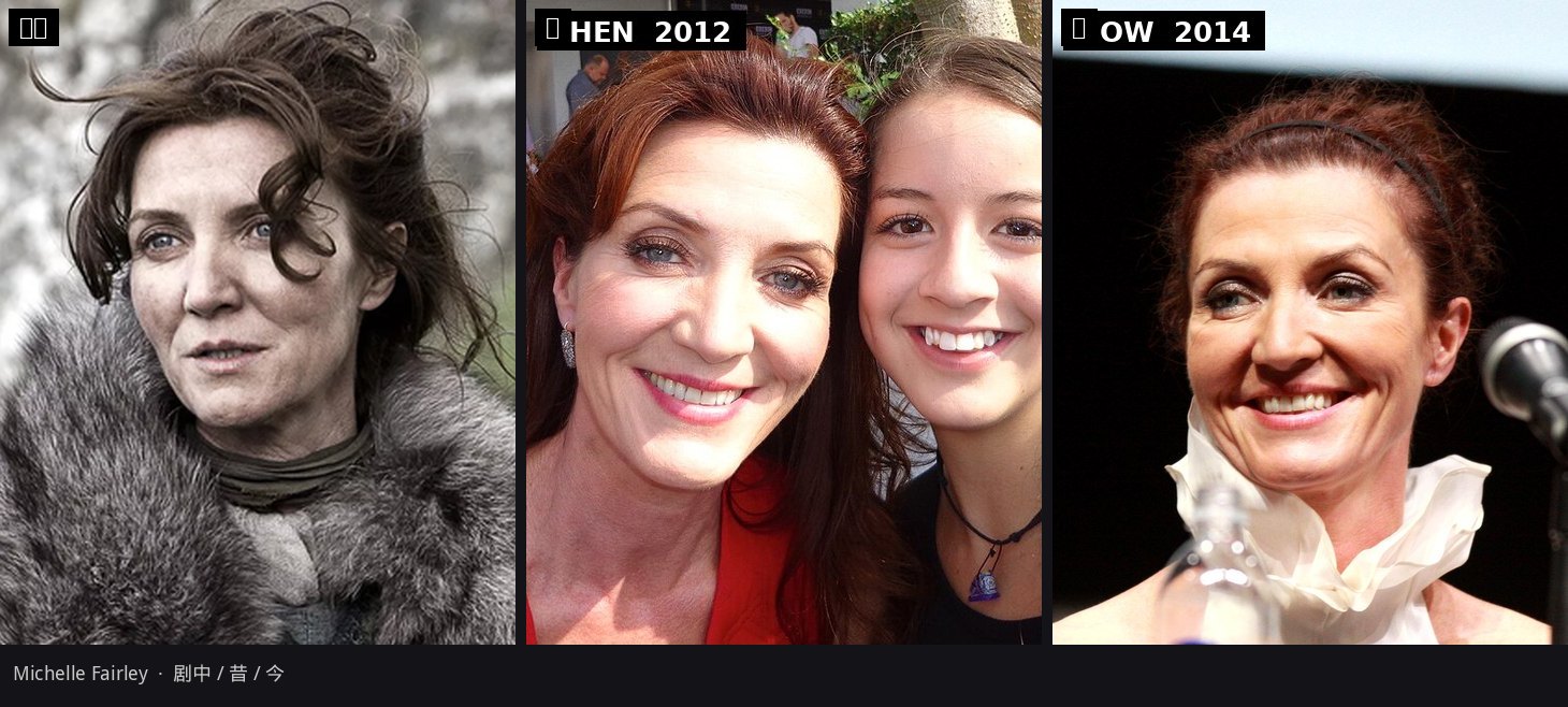 凯特琳·史塔克 / Michelle Fairley：剧中、昔、今